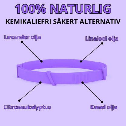 Fästinghalsband – Naturligt skydd mot fästingar och ohyra