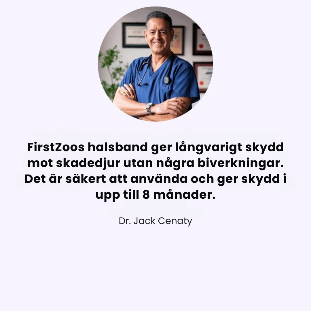 Fästinghalsband – Naturligt skydd mot fästingar och ohyra